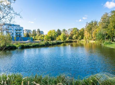 Pronájem bytu, 1+kk, 39 m²