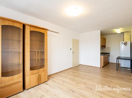Pronájem bytu, 2+kk, 45 m²