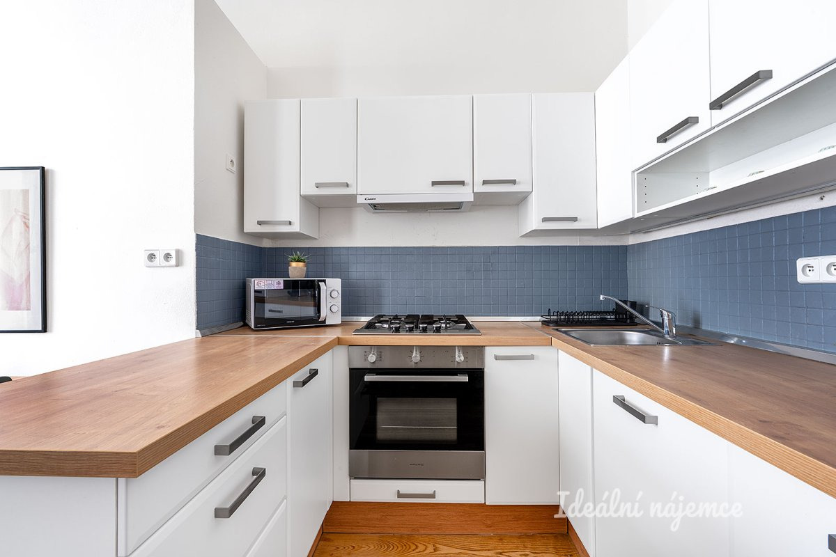 Pronájem bytu 1+kk, Petřínská, Malá Strana,  37 m2