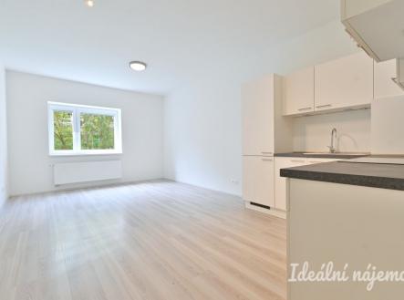 Pronájem bytu, 2+kk, 55 m²