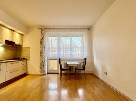 Pronájem bytu, 1+kk, 23 m²
