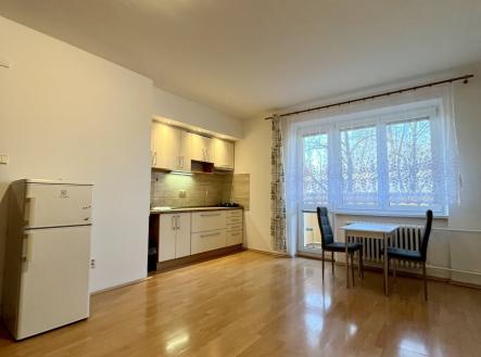 Pronájem bytu, 1+kk, 23 m²
