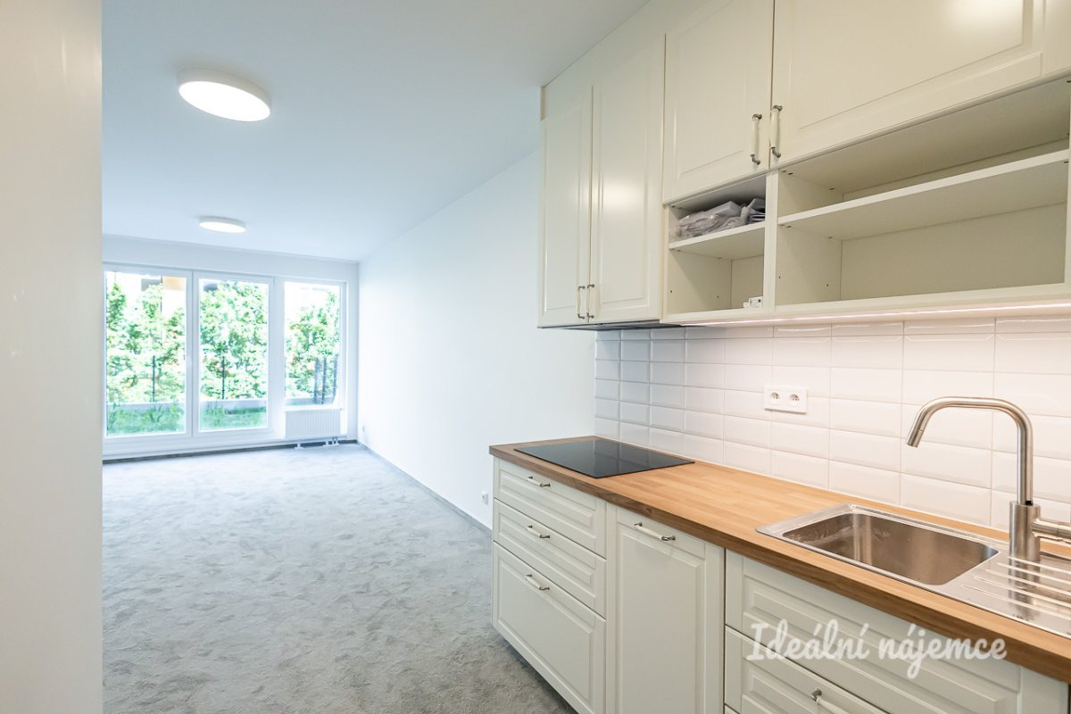 Pronájem bytu 2+kk, Gerstelova, Vysočany, 27900 Kč/měs, 52 m2