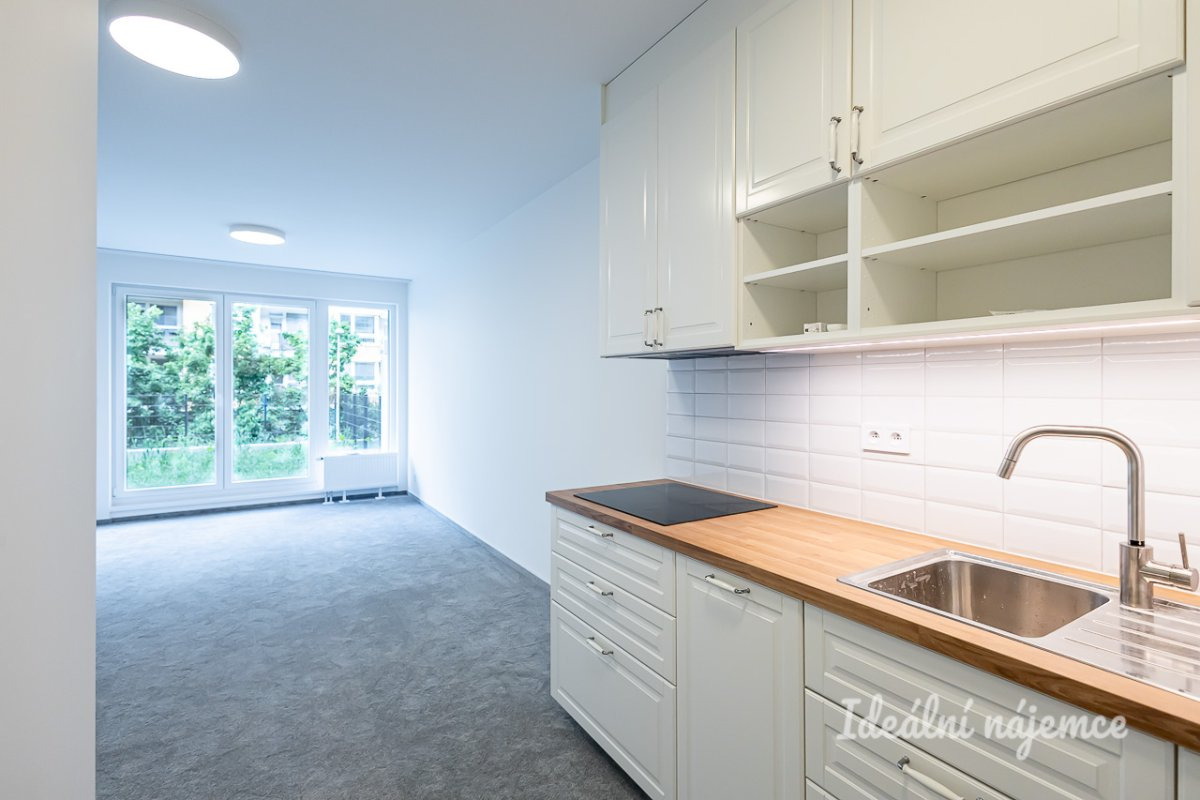 Pronájem bytu 2+kk, Gerstelova, Vysočany, 27900 Kč/měs, 52 m2