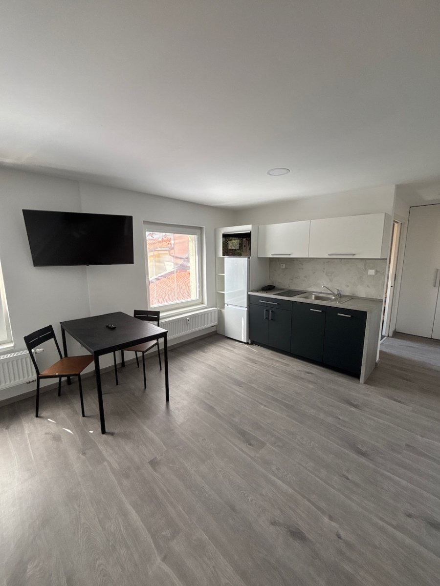 Pronájem bytu 1+kk, ČS. Partyzánů, Chrudim, 35 m2