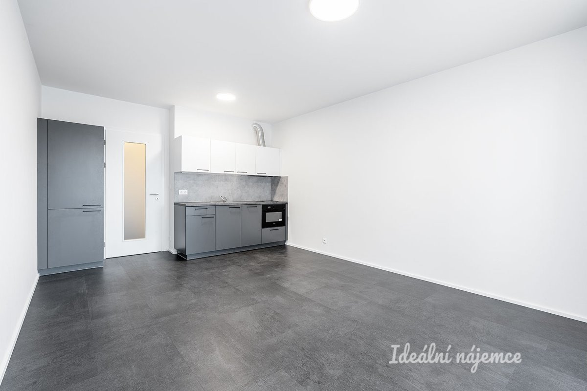 Pronájem bytu 1+kk, Poděbradská, Vysočany, 17000 Kč/měs, 33 m2