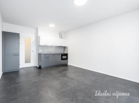 Pronájem bytu, 1+kk, 33 m²
