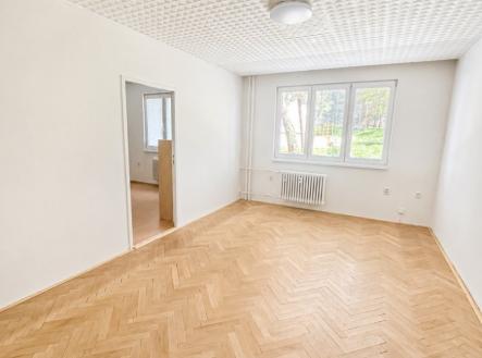 Pronájem bytu, 2+1, 51 m²