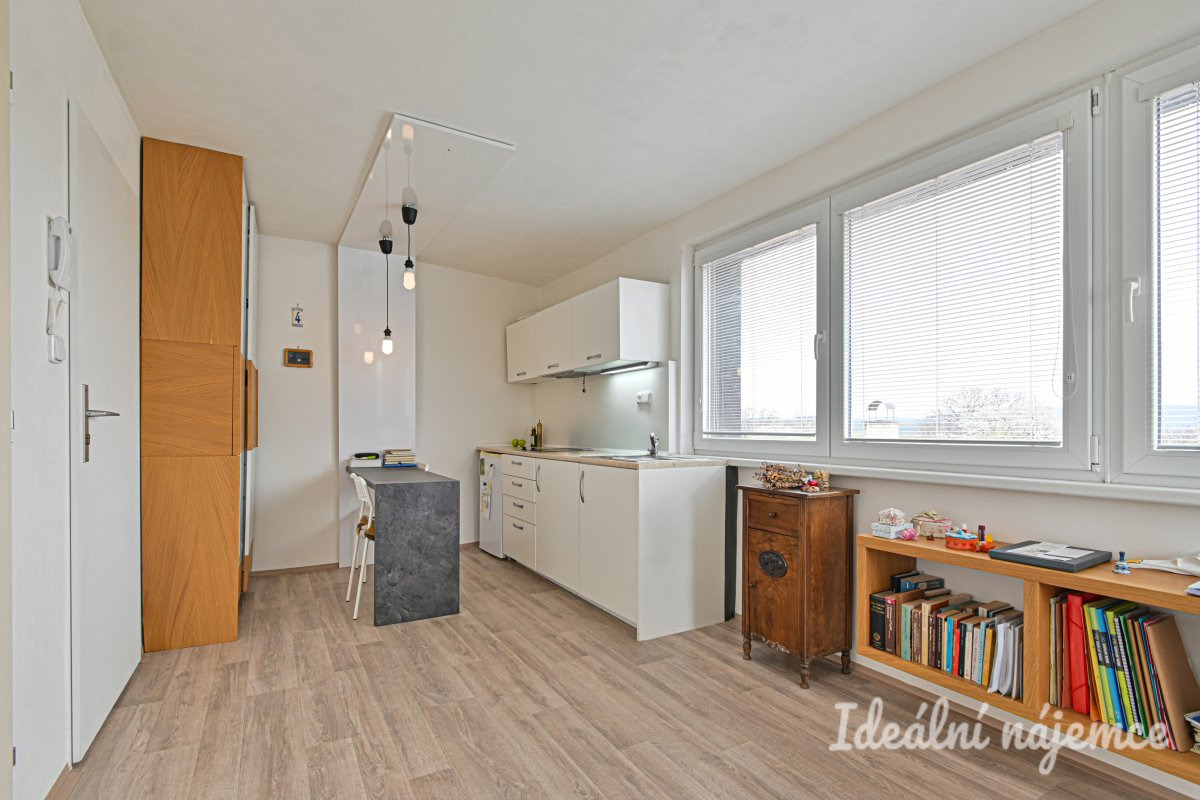 Pronájem bytu 1+kk, Hostislavova, Žebětín, 22 m2
