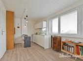 Pronájem bytu, 1+kk, 22 m²