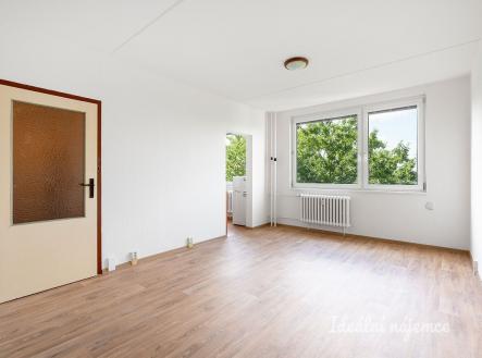Pronájem bytu, 1+1, 28 m²