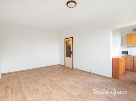 Pronájem bytu, 1+1, 28 m²