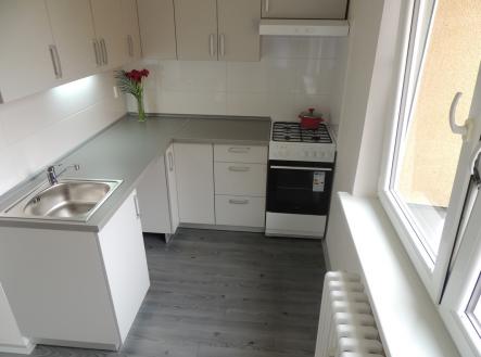 Pronájem bytu, 1+1, 41 m²