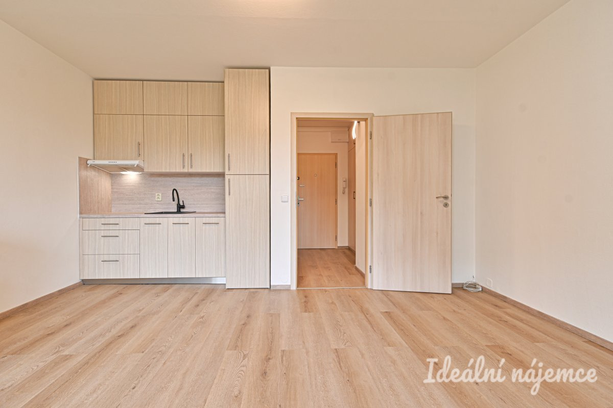Pronájem bytu 1+kk, Moldavská, Bohunice,  14.000 Kč/měs, 30 m2