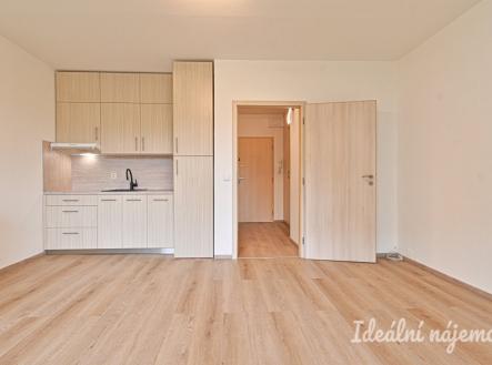 Pronájem bytu, 1+kk, 30 m²