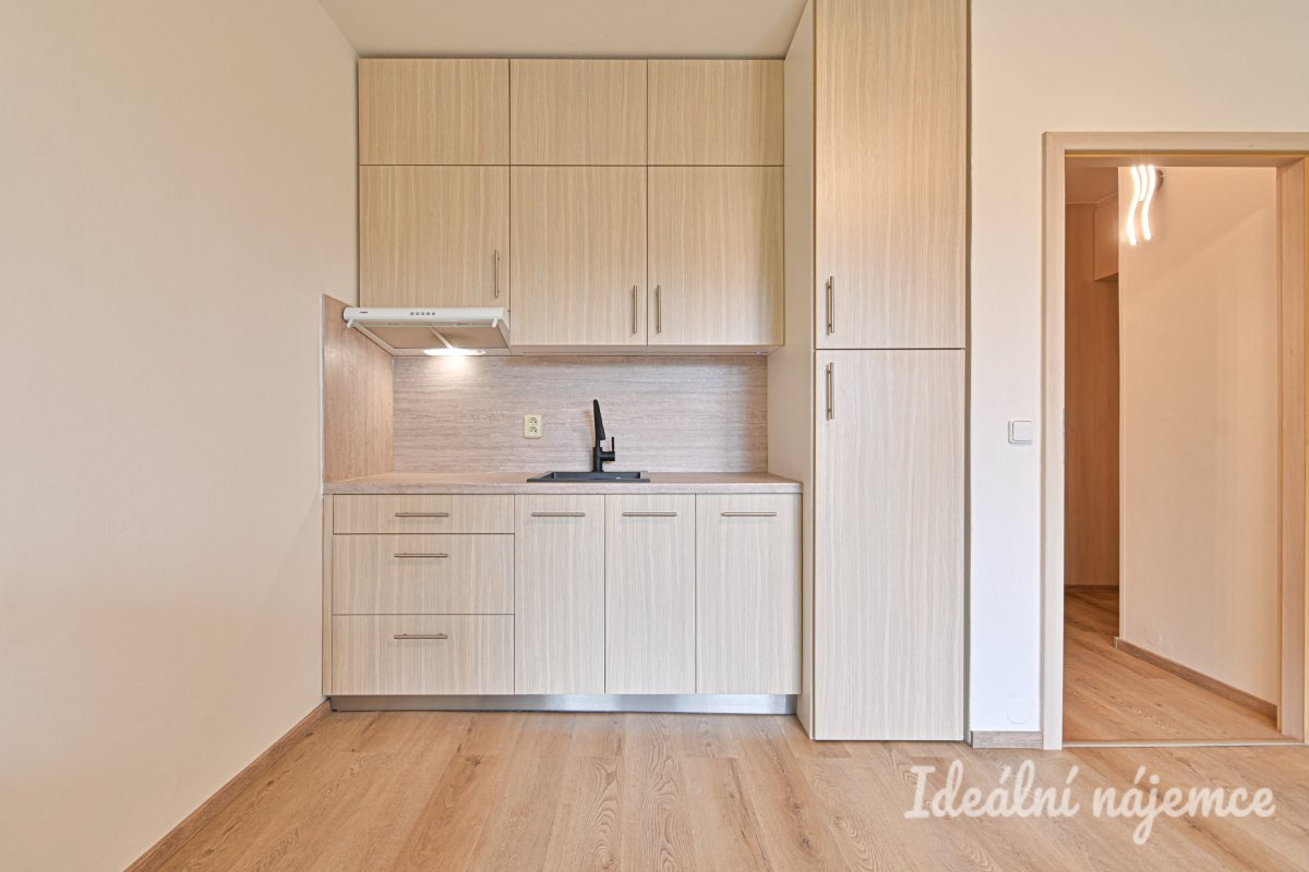 Pronájem bytu 1+kk, Moldavská, Bohunice,  14.000 Kč/měs, 30 m2