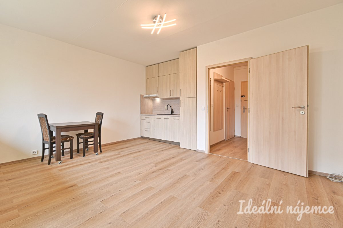 Pronájem bytu 1+kk, Moldavská, Bohunice,  14.000 Kč/měs, 30 m2