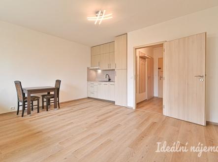 Pronájem bytu, 1+kk, 30 m²