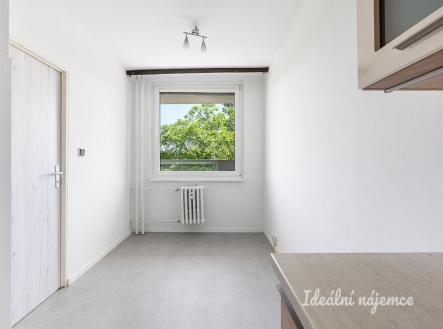 Pronájem bytu, 3+1, 73 m²