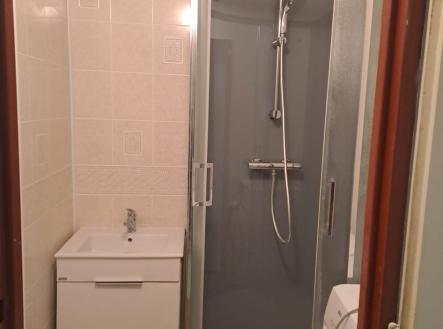 Pronájem bytu, 3+1, 64 m²