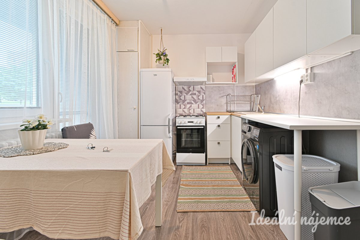 Pronájem bytu 1+1, Rerychova, Bystrc,  15.900 Kč/měs, 41 m2