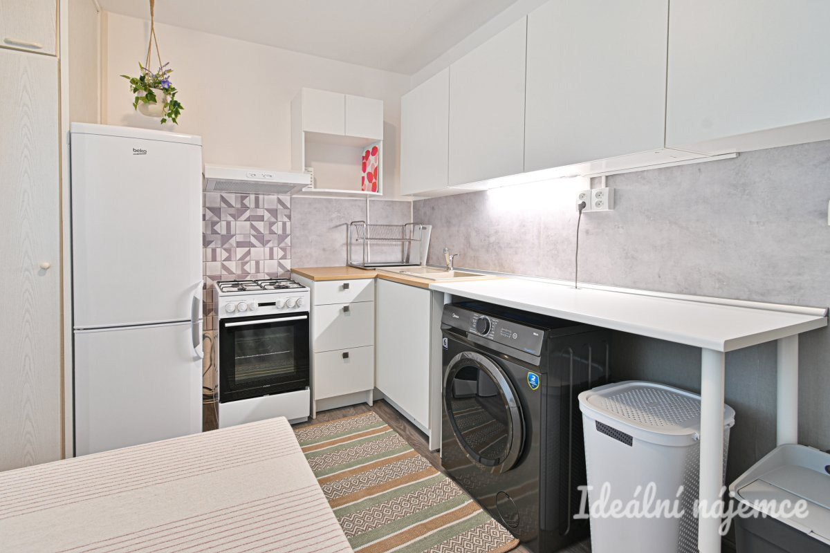 Pronájem bytu 1+1, Rerychova, Bystrc,  15.900 Kč/měs, 41 m2