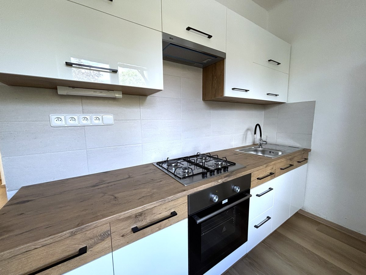 Pronájem bytu 2+1, Rychtaříkova, Plzeň, 14500 Kč/měs, 53 m2