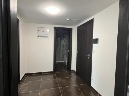 Pronájem bytu, 2+kk, 56 m²
