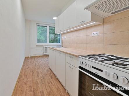 Pronájem bytu, 2+1, 53 m²