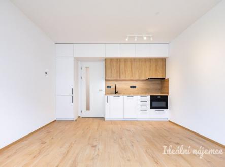 Pronájem bytu, 1+kk, 33 m²