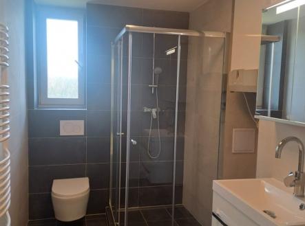 Pronájem bytu, 3+kk, 56 m²