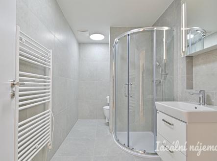 Pronájem bytu, 1+kk, 37 m²