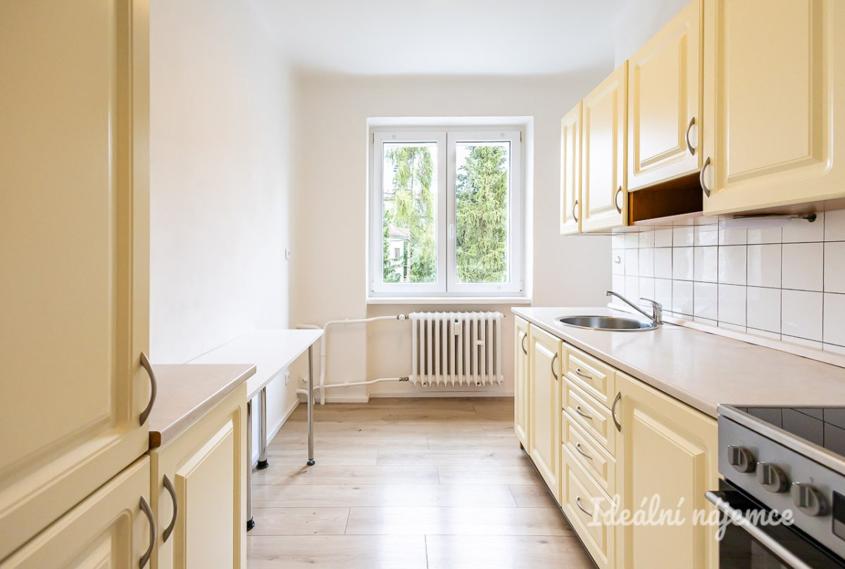 Pronájem bytu 2+1, Dvorecká, Podolí,   57 m2