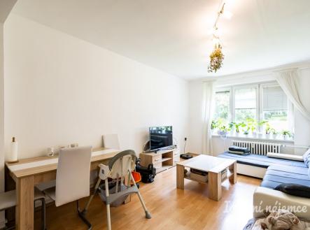 Pronájem bytu, 2+1, 55 m²