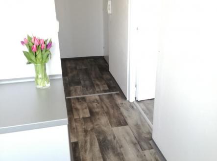 Pronájem bytu, 2+1, 50 m²