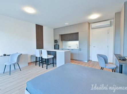 Pronájem bytu, 1+kk, 39 m²