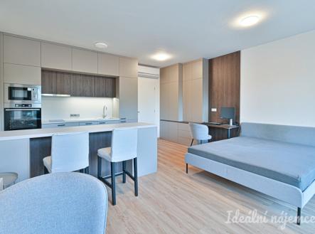 Pronájem bytu, 1+kk, 39 m²