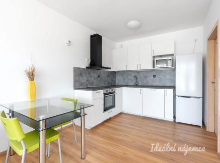 Pronájem bytu, 1+kk, 43 m²