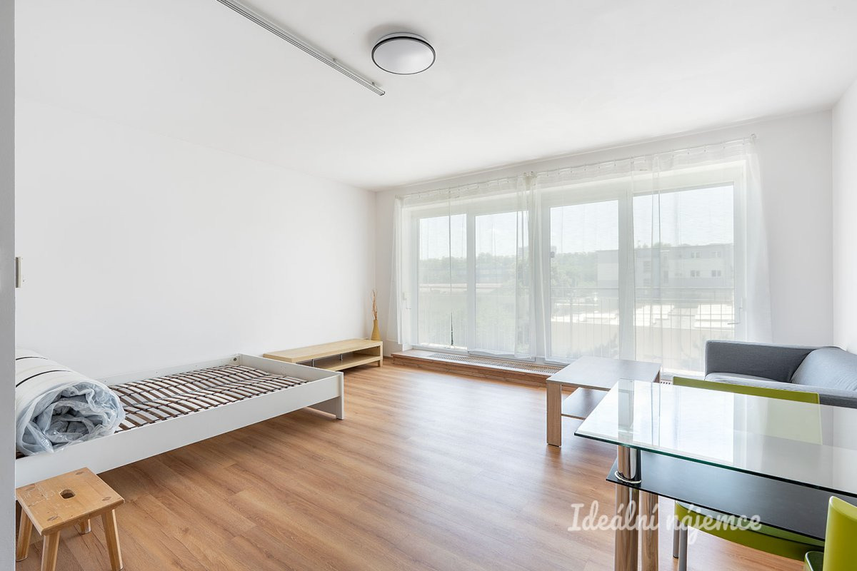 Pronájem bytu 1+kk, Na Harfě, Vysočany,  43 m2