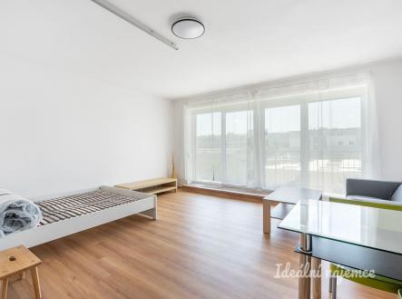 Pronájem bytu, 1+kk, 43 m²