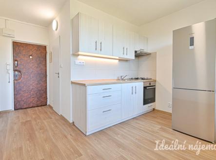 Pronájem bytu, 1+1, 35 m²