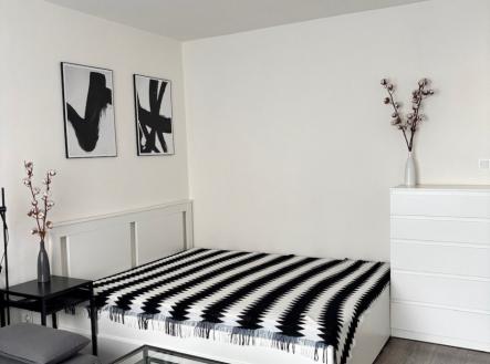 Pronájem bytu, 1+1, 37 m²