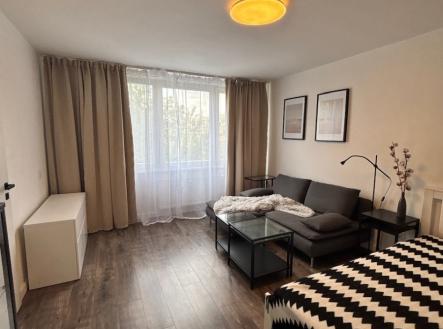 Pronájem bytu, 1+1, 37 m² obrázek