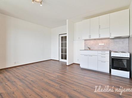 Pronájem bytu, 1+kk, 31 m²