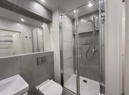 Pronájem bytu, 2+1, 54 m²