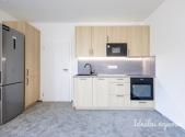 Pronájem bytu, 1+kk, 47 m²