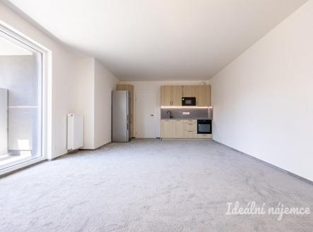 Pronájem bytu, 1+kk, 47 m²