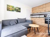 Pronájem bytu, 1+1, 33 m²