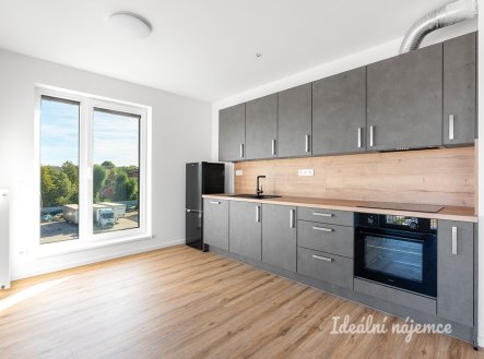 Pronájem bytu, 3+kk, 73 m²