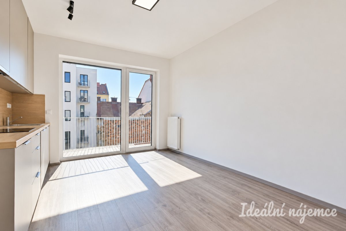 Pronájem bytu 1+kk, Křenová, Trnitá,  Kč/měs, 40 m2